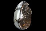 Bargain Septarian Dragon Egg Geode - Black Crystals #95978-2